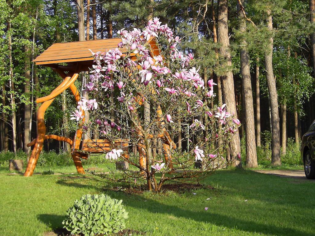 Apartamentai Silas Druskininkai Dış mekan fotoğraf
